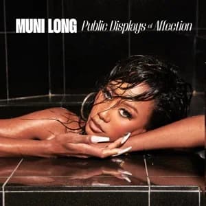 Public Displays Of Affection album cover