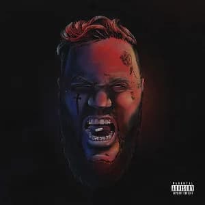 Self Medicated album cover