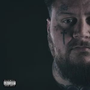 A Beautiful Disaster album cover