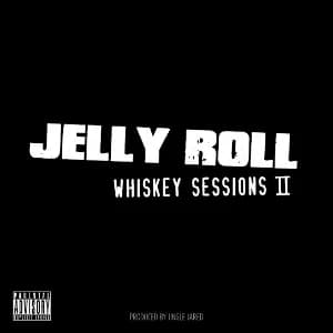 Whiskey Sessions II album cover