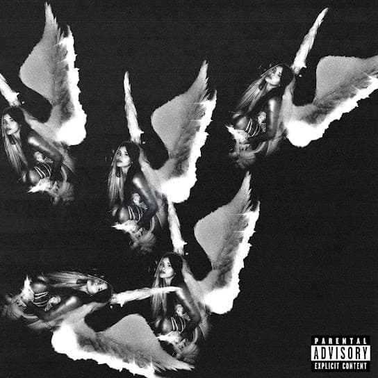 young forever (extended) album cover