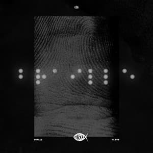 Braille (feat. Bas) album cover