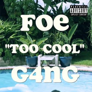 Too Cool album cover