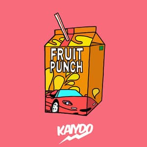 Fruit Punch album cover