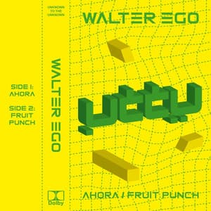 Fruit Punch album cover