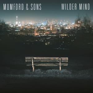 Wilder Mind album cover