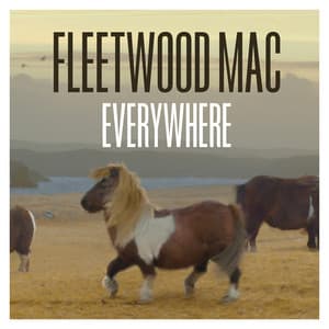 Everywhere (Remastered Version) album cover