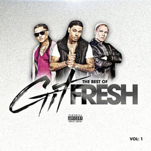 The Best of Git Fresh, Vol. 1 album cover