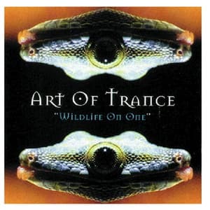 Wildlife On One album cover