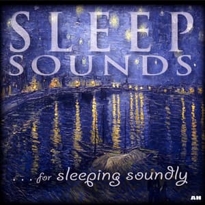 Sleep Sounds For Sleeping Soundly album cover