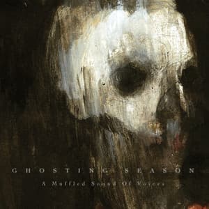 A Muffled Sound Of Voices album cover