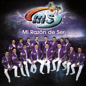 Mi Razón De Ser album cover