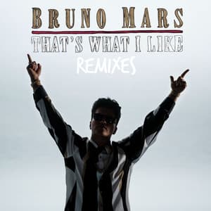 That's What I Like (Remix) album cover