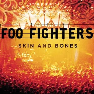 Skin And Bones (Live) album cover