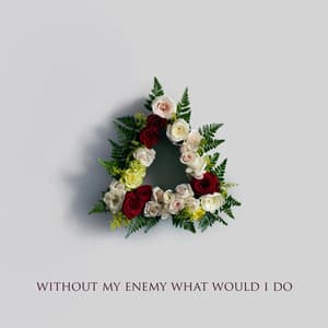 Without My Enemy What Would I Do album cover
