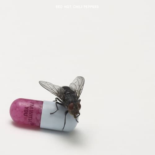 I'm with You album cover