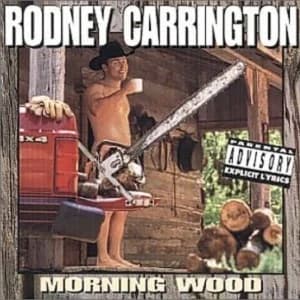 Morning Wood album cover
