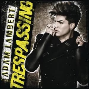 Trespassing album cover