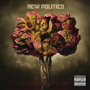 New Politics album cover