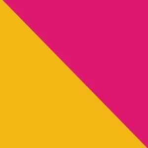 Flag album cover