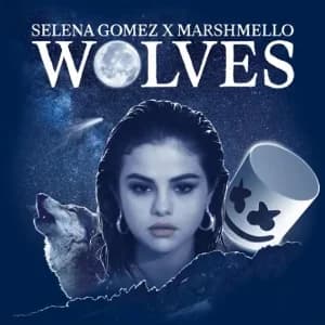 Wolves (Single) album cover