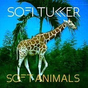 Soft Animals album cover