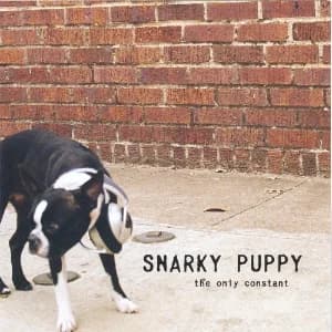 The Only Constant album cover