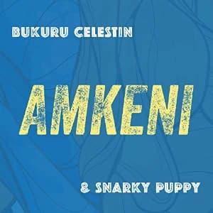 Amkeni album cover