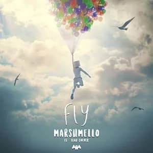 Fly album cover