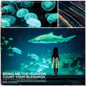 Count Your Blessings album cover