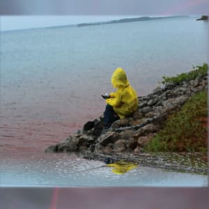 Rain: A collection of Rain Showers, Driving in the Rain, Thunder, Hiding Under a Tree, Rainforests, and More (Loopable Audio for Ambiance, Meditation, Insomnia and Restless Children) album cover