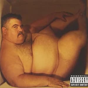 Hefty Fine album cover