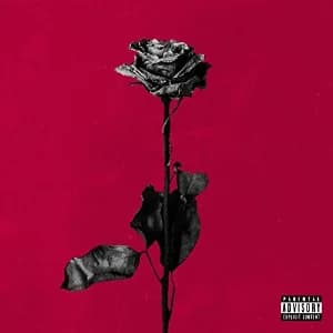 Deadroses album cover
