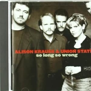 So Long So Wrong album cover