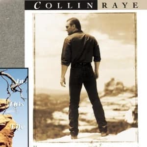In This Life album cover