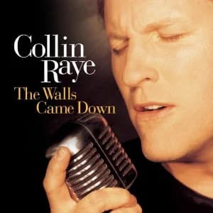 The Walls Came Down album cover