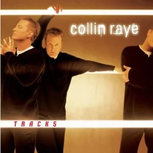 Tracks album cover