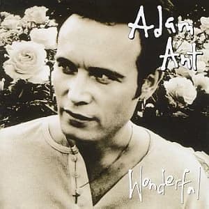 Wonderful album cover