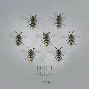 Multiply album cover
