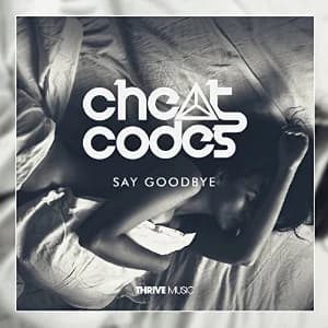 Say Goodbye album cover