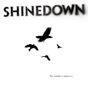 The Sound of Madness album cover