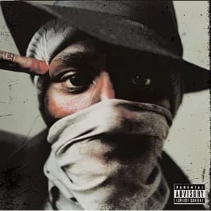 The New Danger album cover