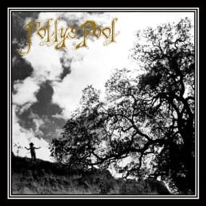 Folly's Pool album cover