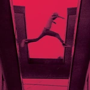 The Ecstatic album cover