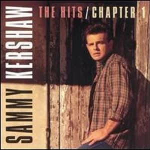 The Hits Chapter 1 album cover