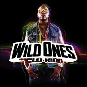 Wild Ones album cover