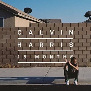 18 Months album cover