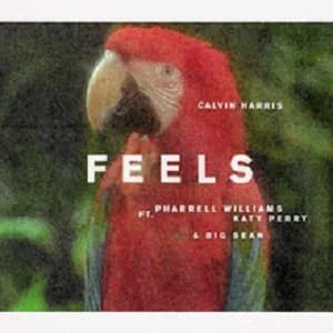Feels album cover