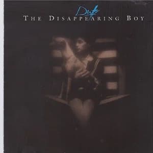 The Disappearing Boy album cover
