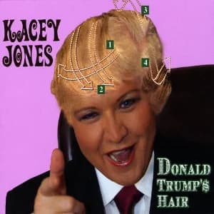 Donald Trump's Hair album cover